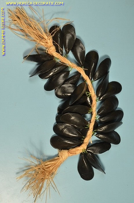 Mosselen, streng- Lengte: 50 cm - Vis dummy