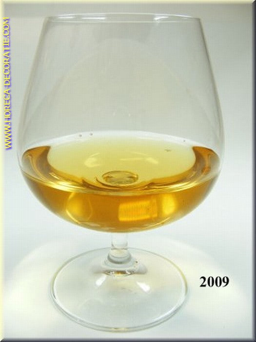 Cognac (real glass) 8x11 cm dummy