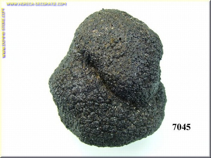 Grote Zwarte truffel - dummy 7,5 x 8 cm imitatie namaak