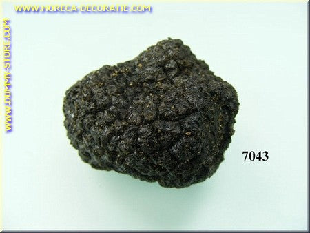 Kleine Zwarte truffel 3x4 cm - namaak - dummy