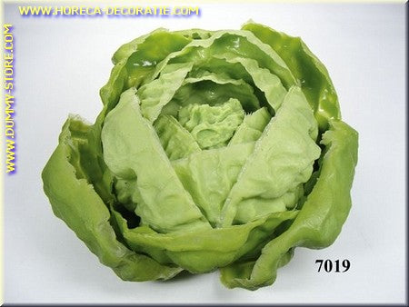 Head of Lettuce - dummy
