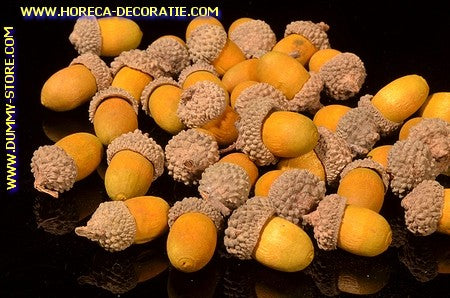 Acorn, 36 pieces, 4x2 cm - dummy