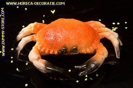 Krab, (C2) - 200x130 mm - Vis dummy namaak imitatie