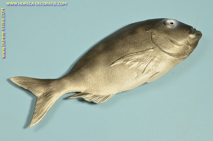 Tooth bream - 360x130 mm - Fish dummy imitation
