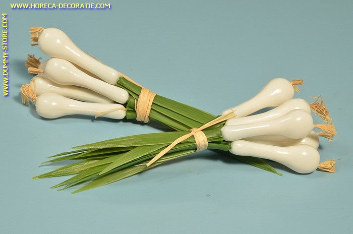 Shallots, 2 bunches a, 6 pieces (dummy) 20x200 mm