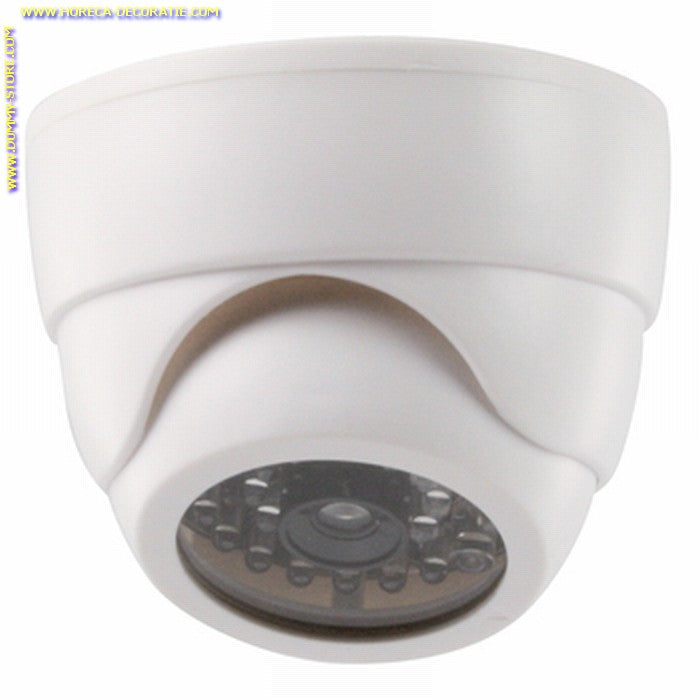 Verstelbare dummy dome binnencamera