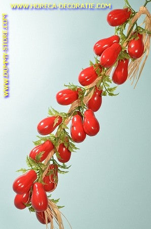 Baby Tomaten, streng 20 stuks (dummy) L: 50 cm